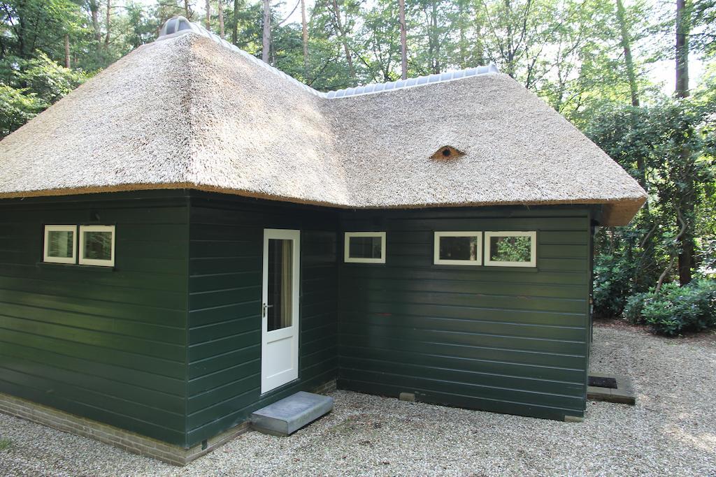 Two-Bedroom House,235909625:JPEG