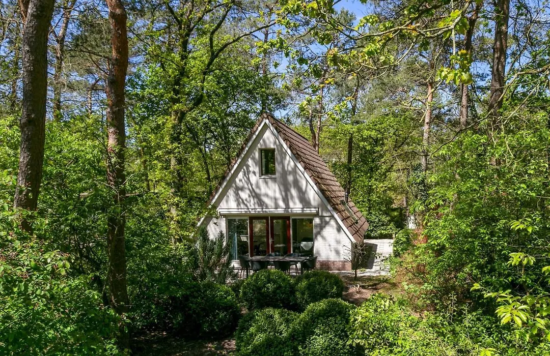 Vakantiehuis Eekhoorn Nunspeet Veluwe-1