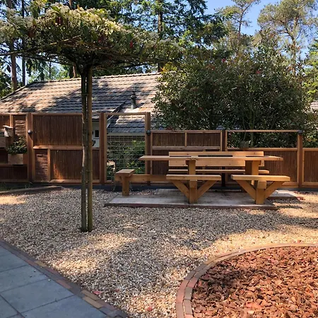 Veluwe vakantiehuis - Bosuil Lodge-3