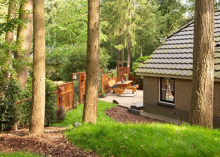 Veluwe vakantiehuis - Bosuil Lodge Lunteren
