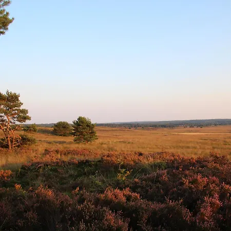 Veluwe
